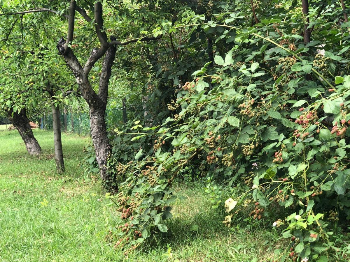 Tepke Guesthouse Garáb Dış mekan fotoğraf